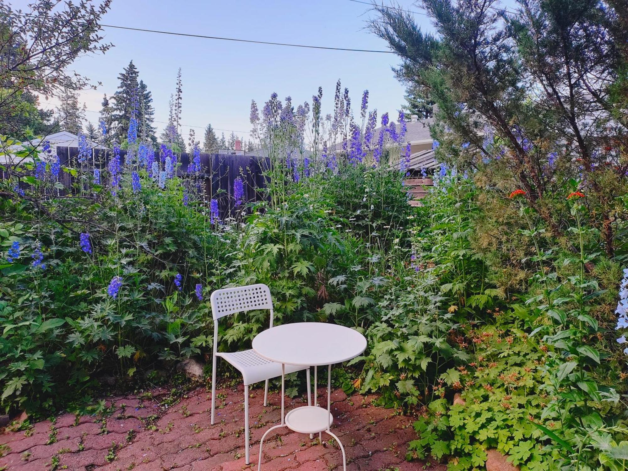 U Of A Homestay, Trails & Whyte Ave Edmonton Exterior photo